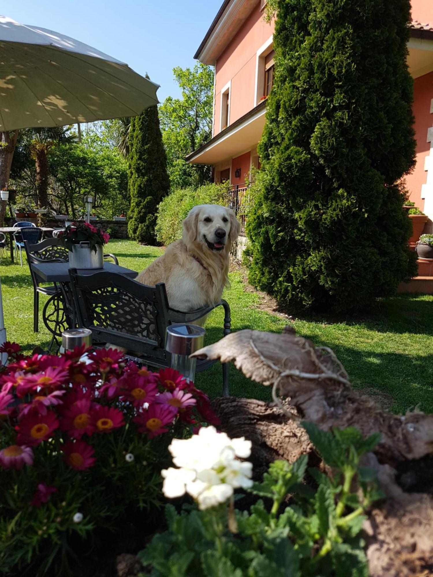 Hotel Rural El Torrejon Лас-Аренас Екстер'єр фото